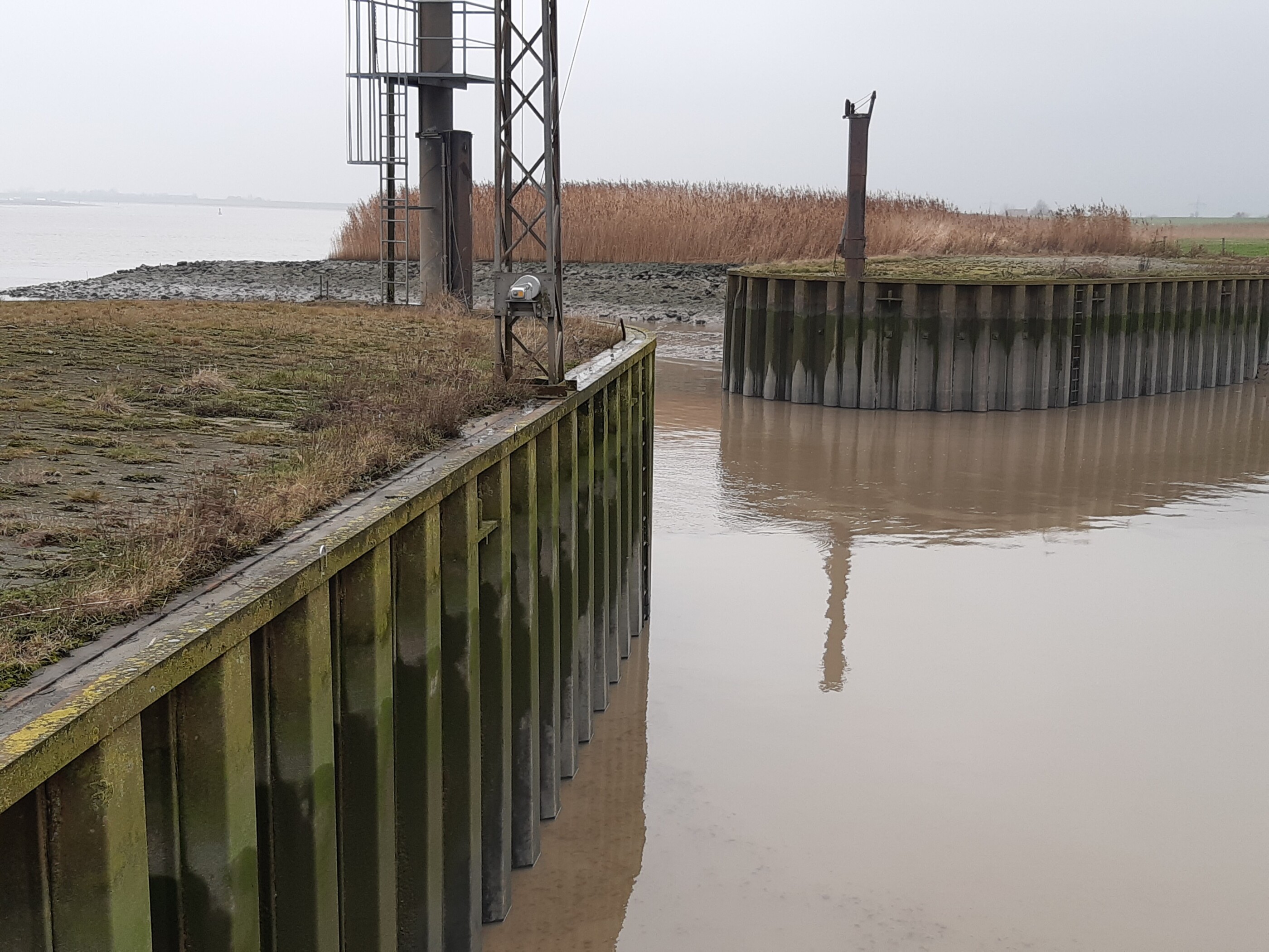 Hoefte Sautel 3 203259