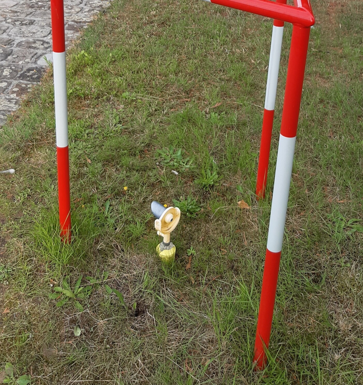 20230822 084139 201678